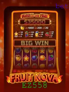 Descubra o Mundo Vibrante de FruitNova